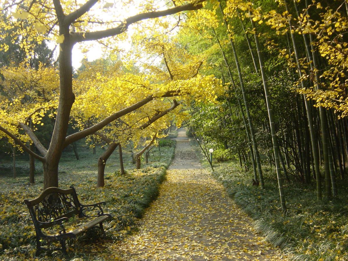 Wuxi Taihu Hotel Dış mekan fotoğraf