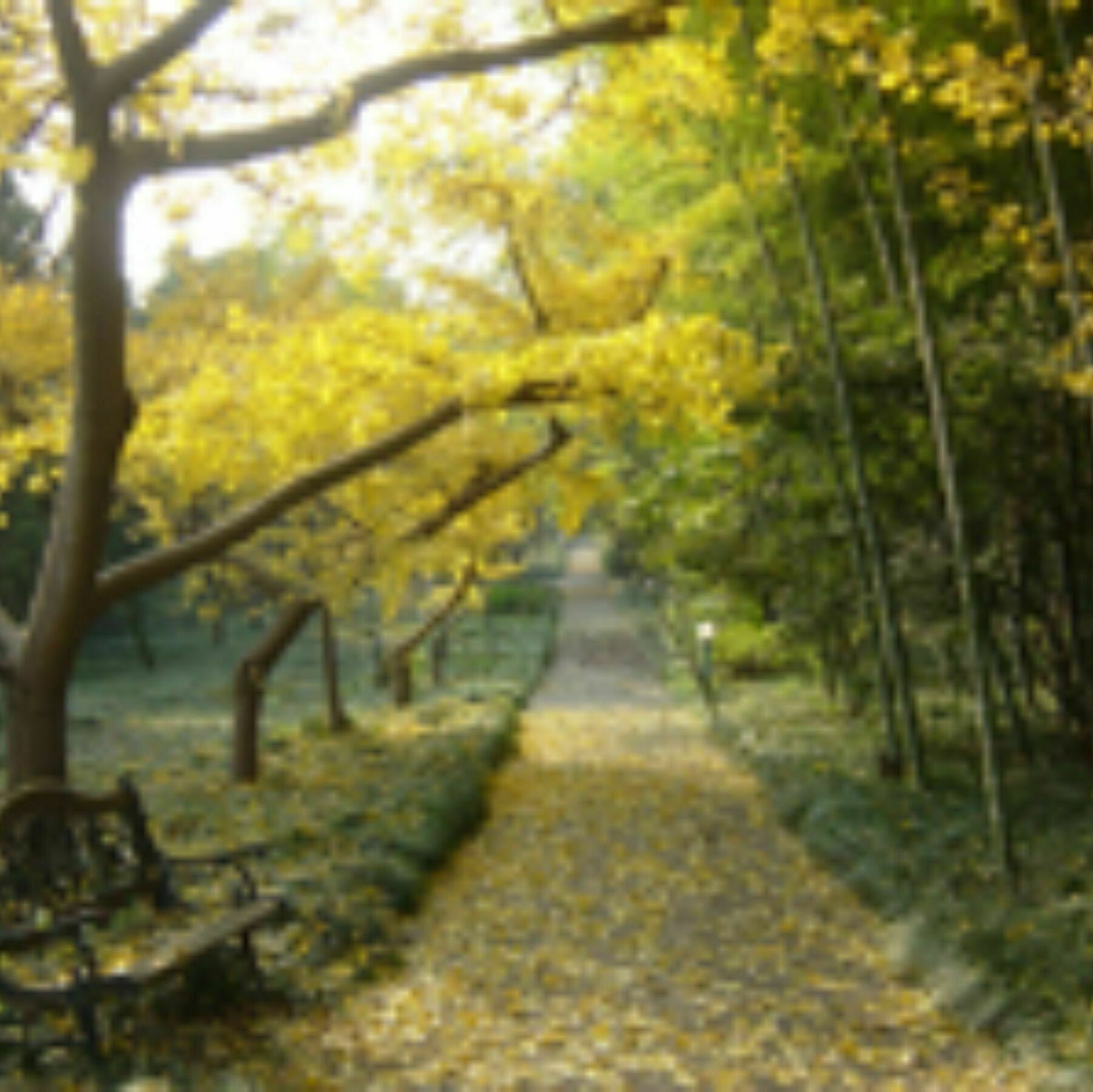 Wuxi Taihu Hotel Dış mekan fotoğraf